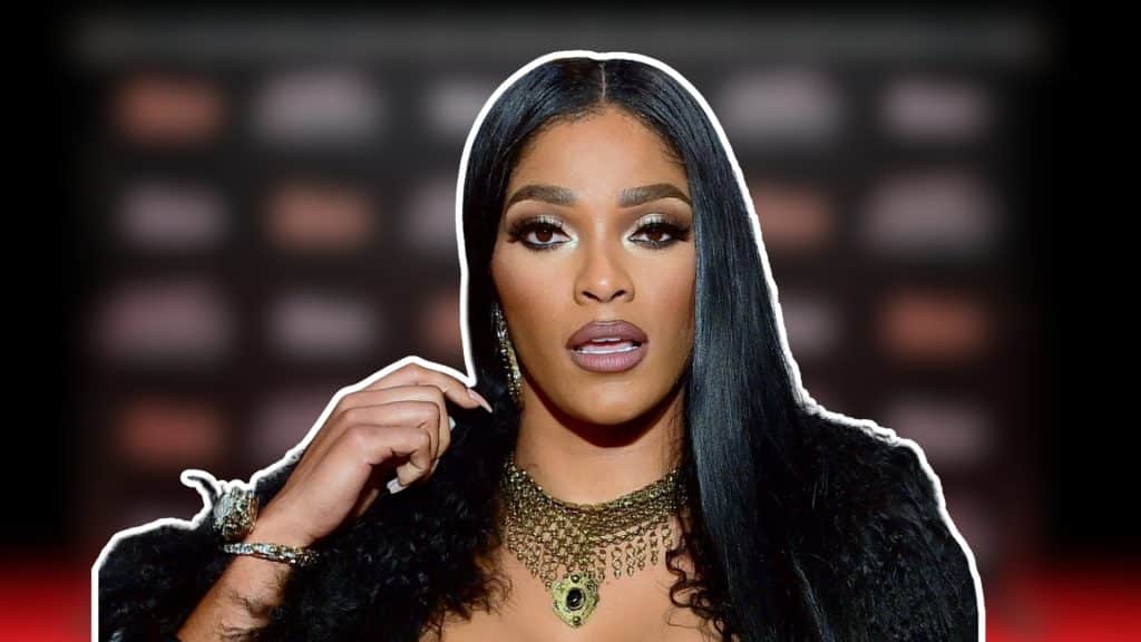 What Is Joseline Hernandez's Current Net Worth?